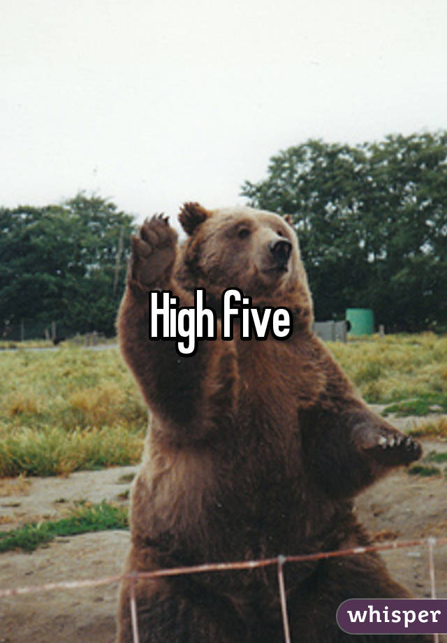 High five 