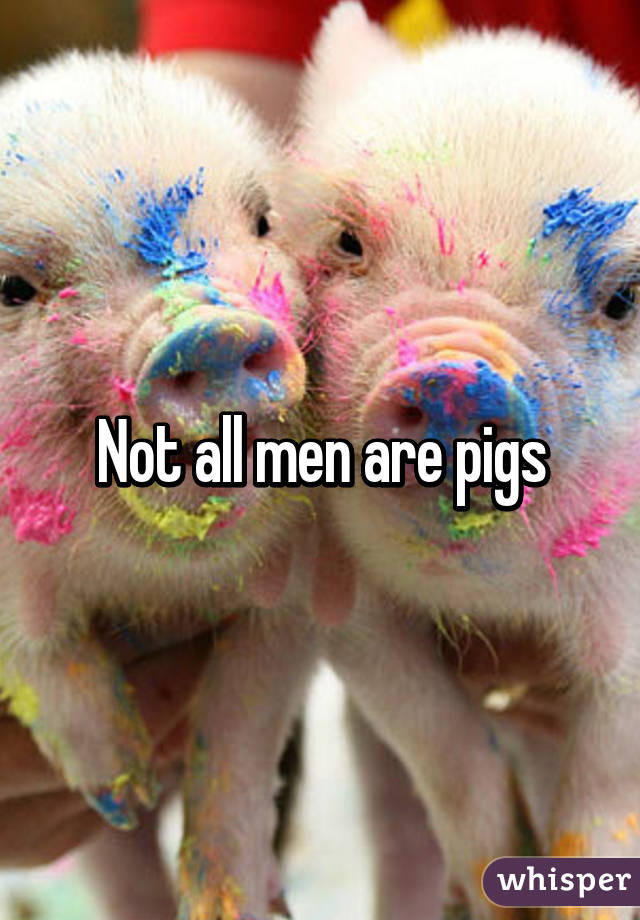 Not all men are pigs