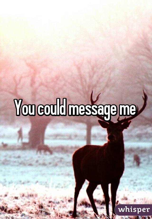 You could message me 