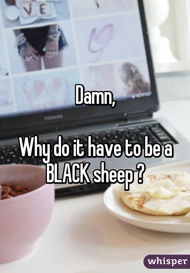 Damn,

Why do it have to be a BLACK sheep 😧
