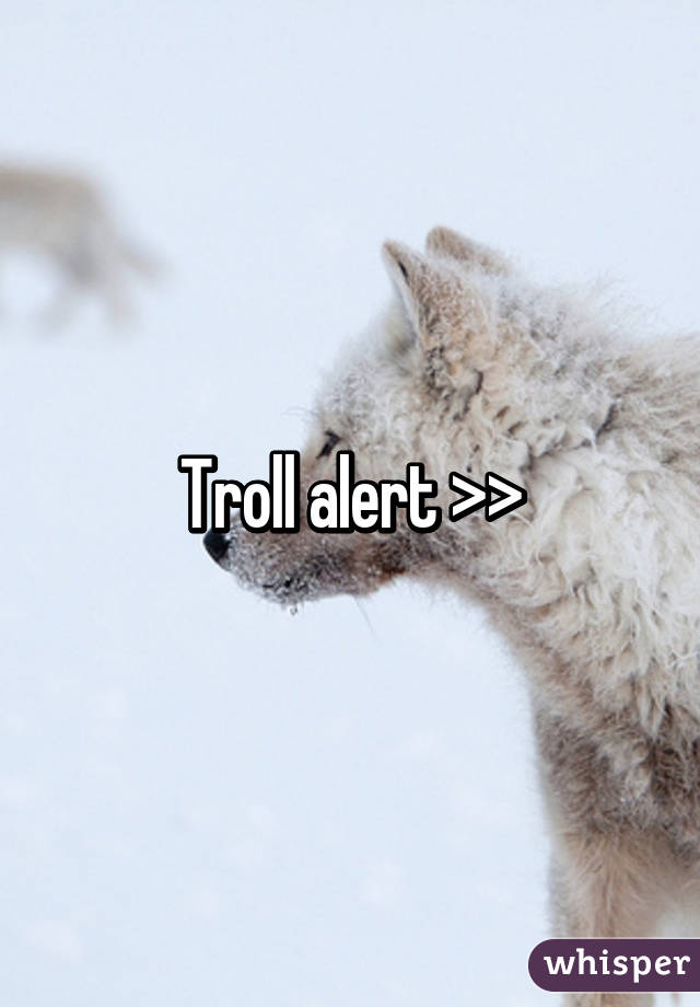 Troll alert >>