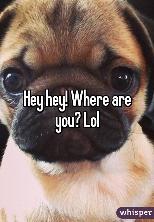 Hey hey! Where are you? Lol