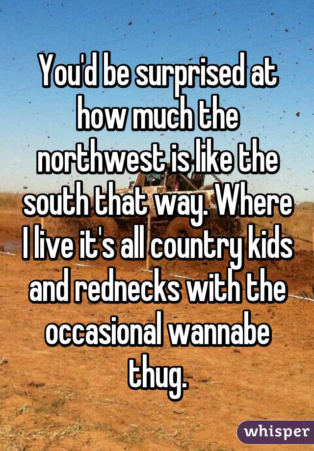 You'd be surprised at how much the northwest is like the south that way. Where I live it's all country kids and rednecks with the occasional wannabe thug.