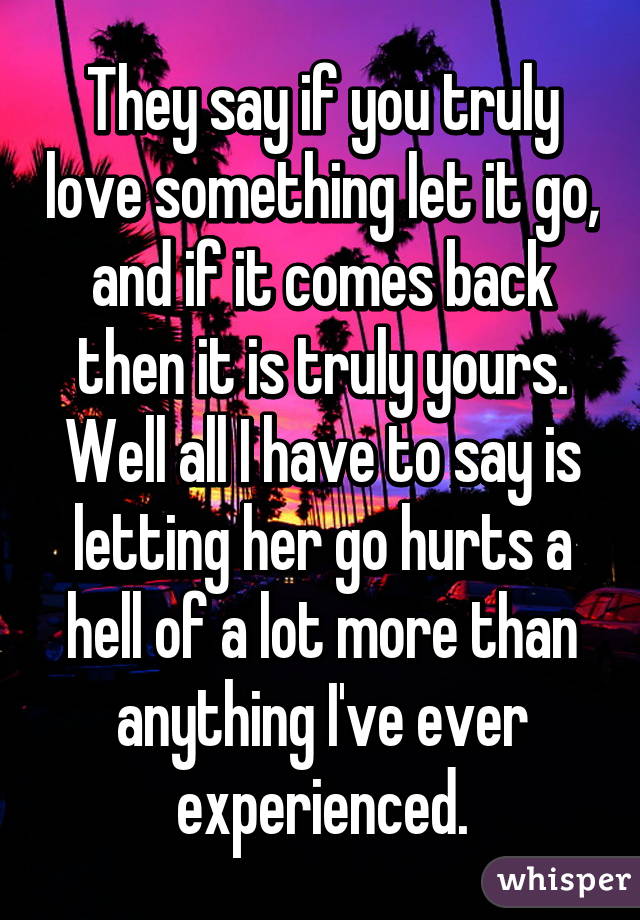 They say if you truly love something let it go, and if it comes back then it is truly yours. Well all I have to say is letting her go hurts a hell of a lot more than anything I've ever experienced.