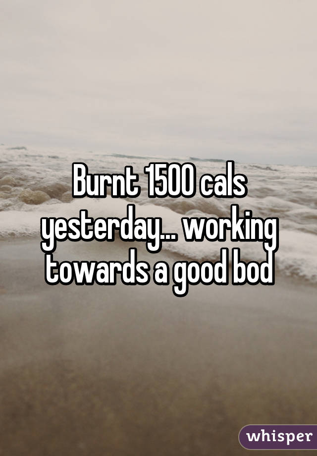 Burnt 1500 cals yesterday... working towards a good bod
