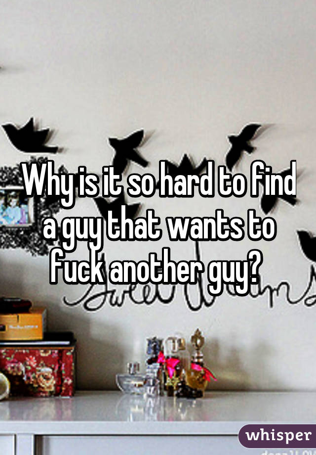Why is it so hard to find a guy that wants to fuck another guy? 