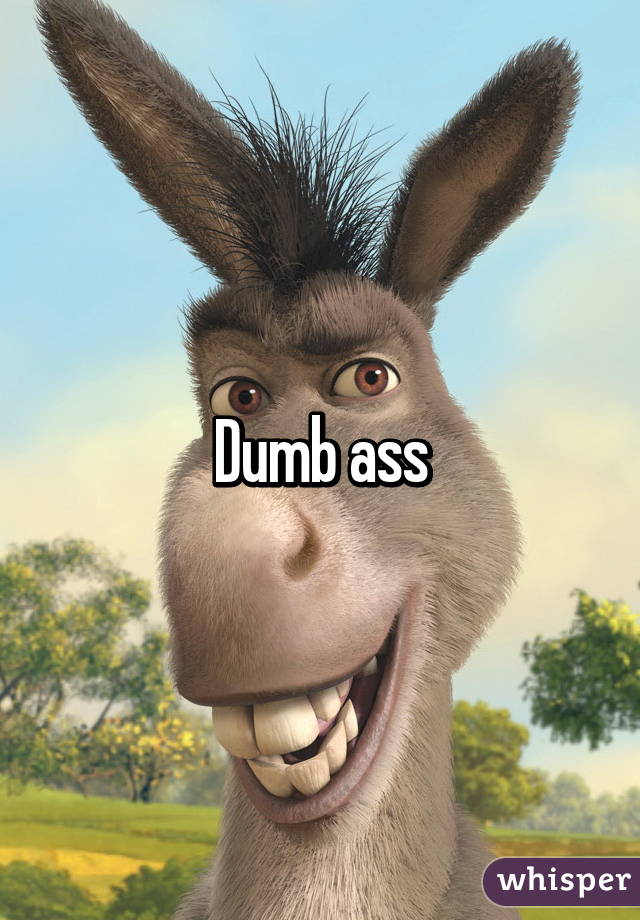 Dumb ass