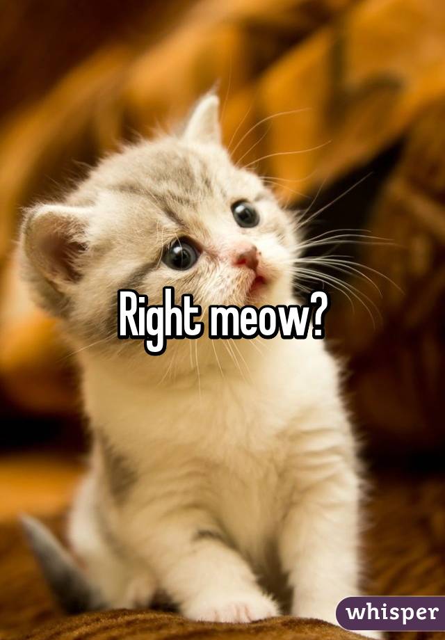Right meow?