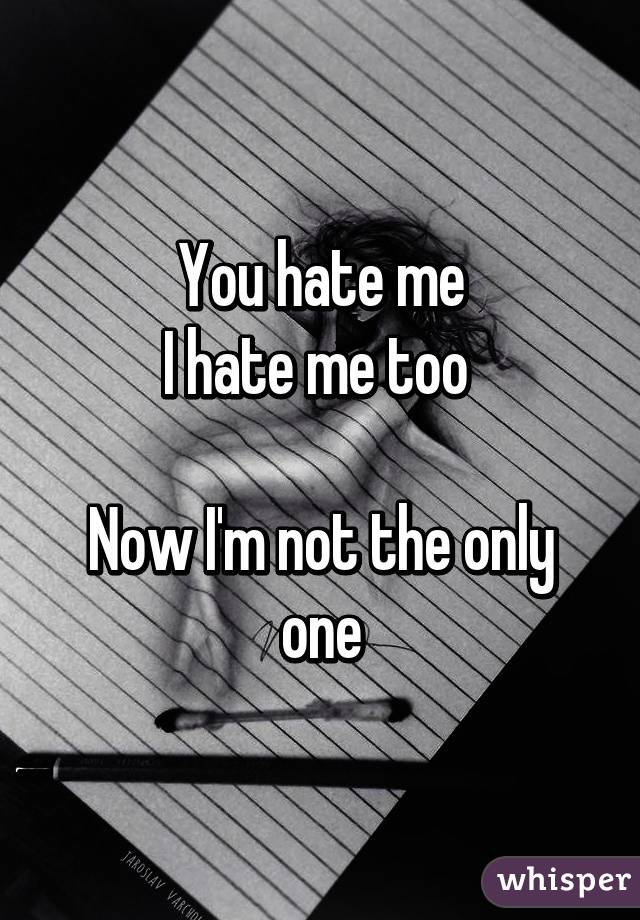 You hate me
I hate me too 

Now I'm not the only one