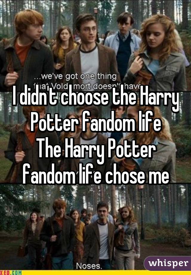 I didn't choose the Harry Potter fandom life
The Harry Potter fandom life chose me