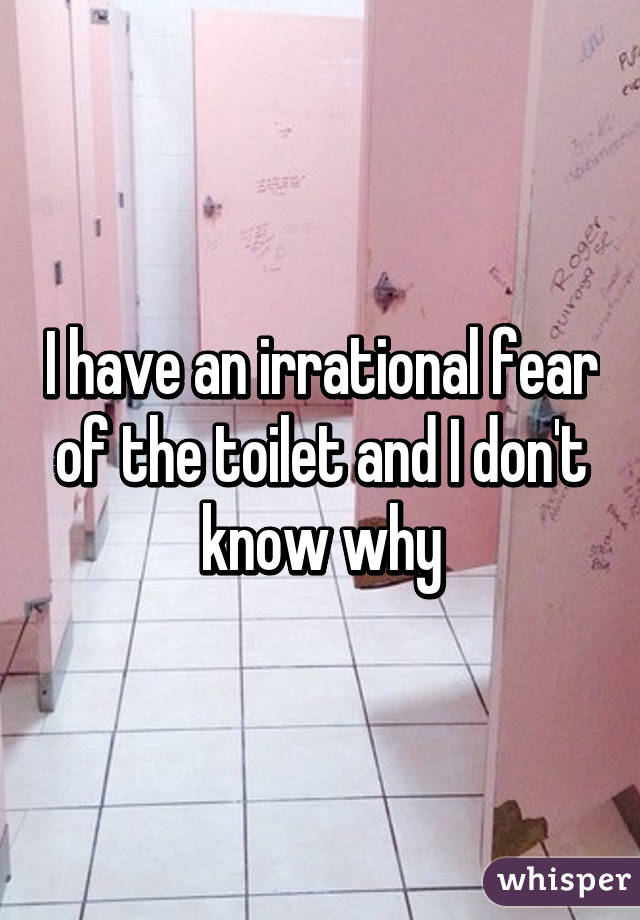 I have an irrational fear of the toilet and I don't know why