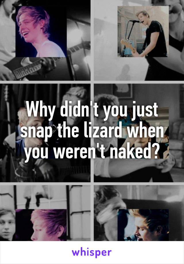 Why didn't you just snap the lizard when you weren't naked?