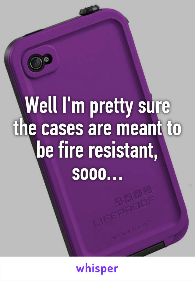 Well I'm pretty sure the cases are meant to be fire resistant, sooo…