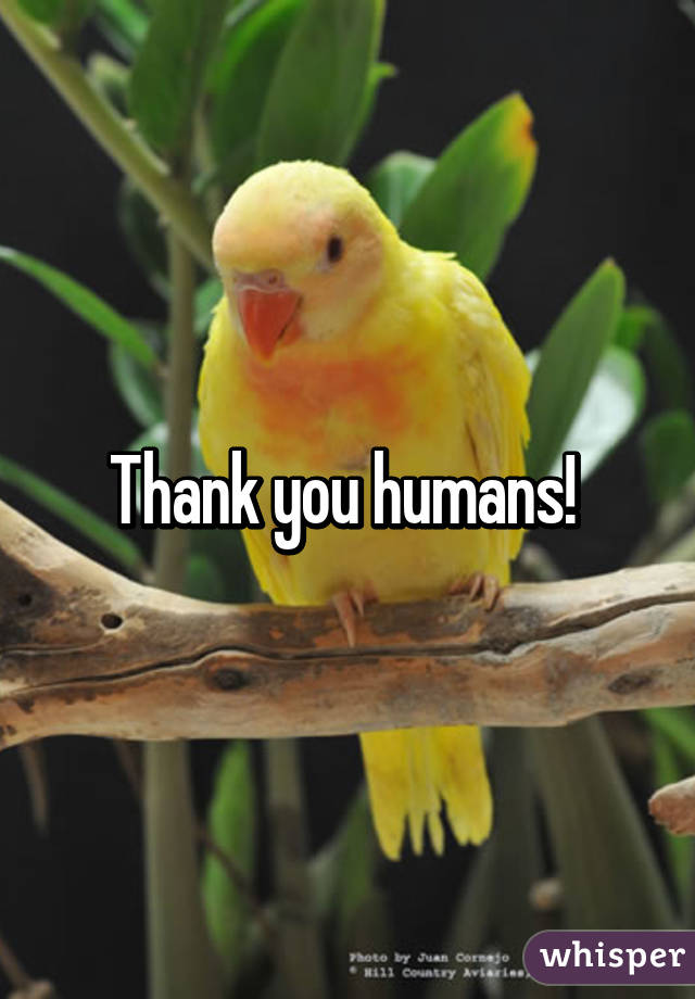 Thank you humans! 