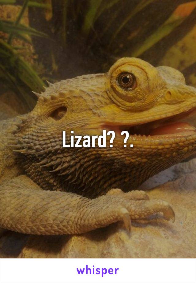 Lizard? 😂.