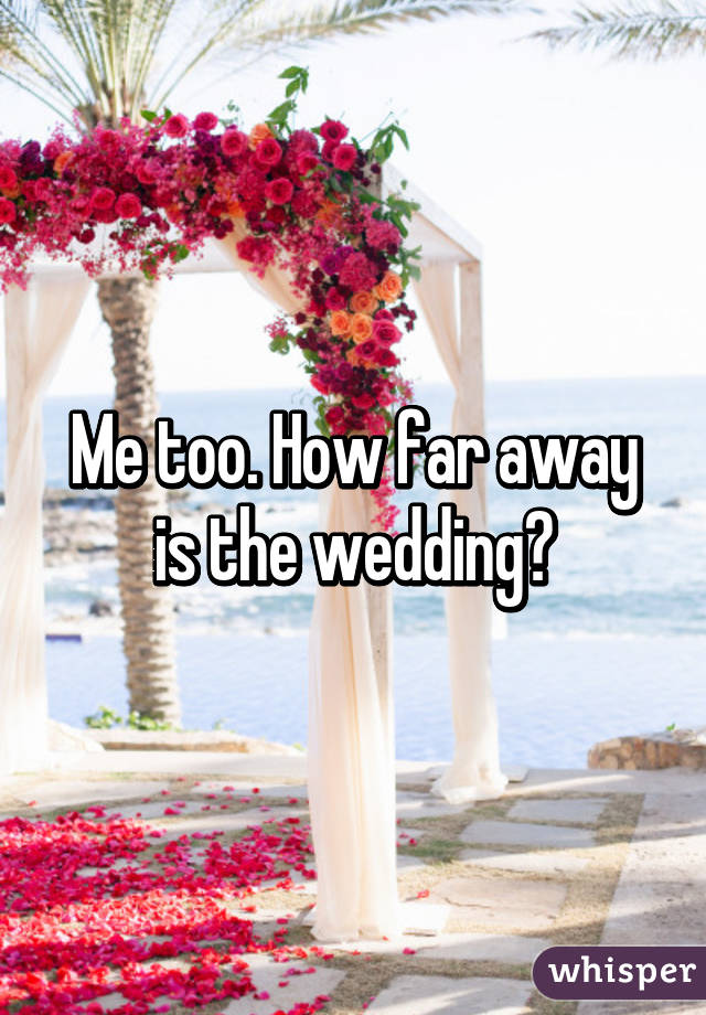 Me too. How far away is the wedding?