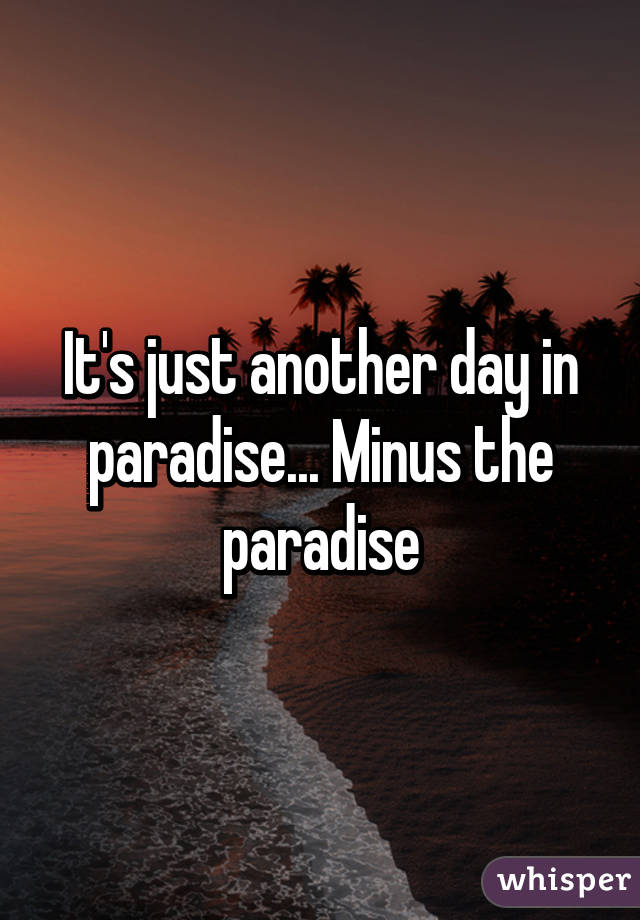 It's just another day in paradise... Minus the paradise