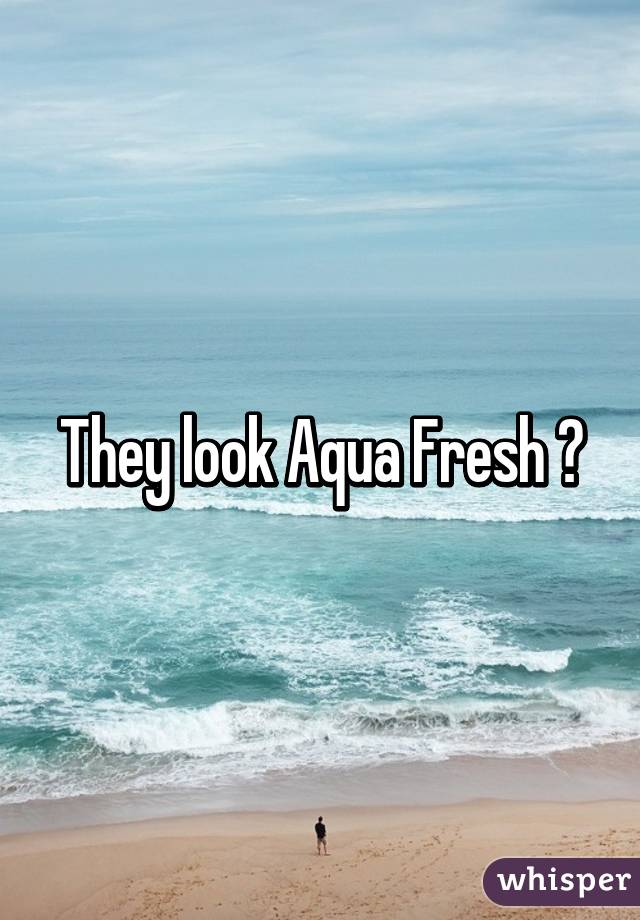 They look Aqua Fresh 👌