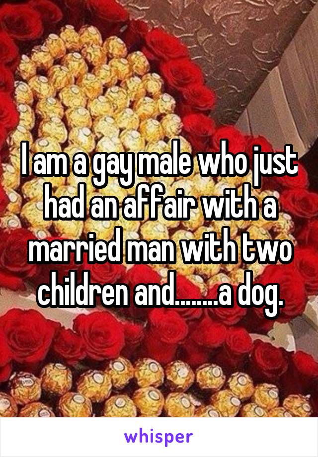I am a gay male who just had an affair with a married man with two children and........a dog.