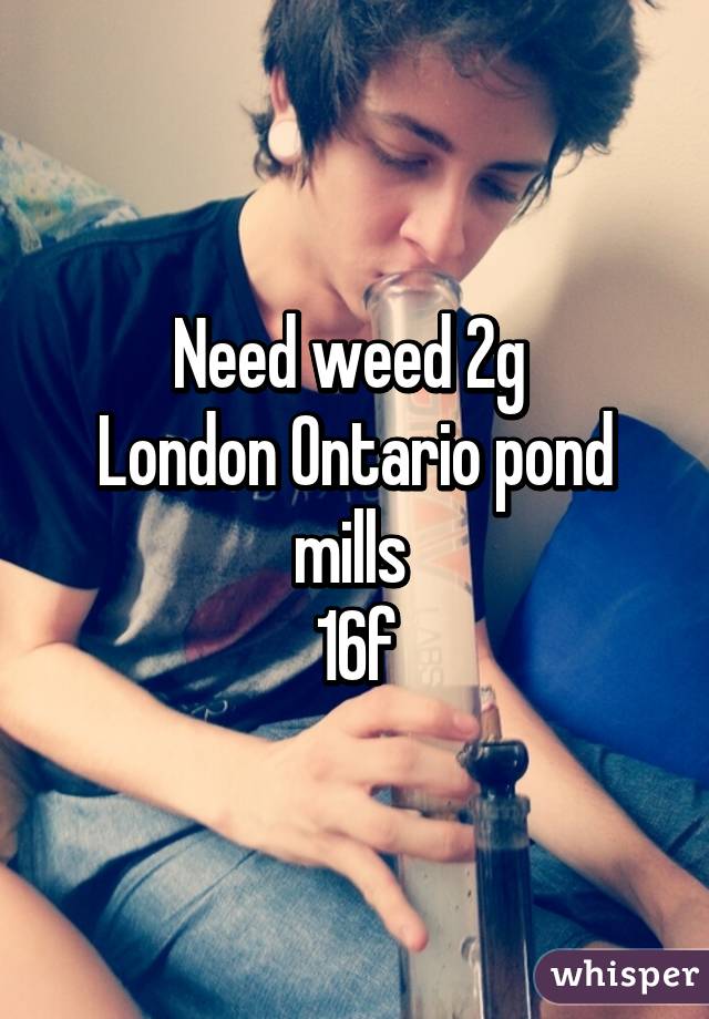 Need weed 2g 
London Ontario pond mills 
16f