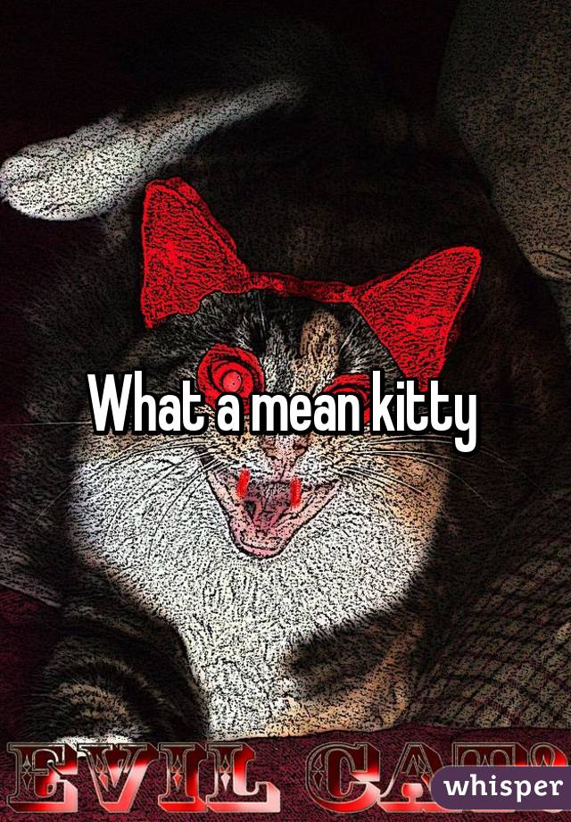 What a mean kitty 