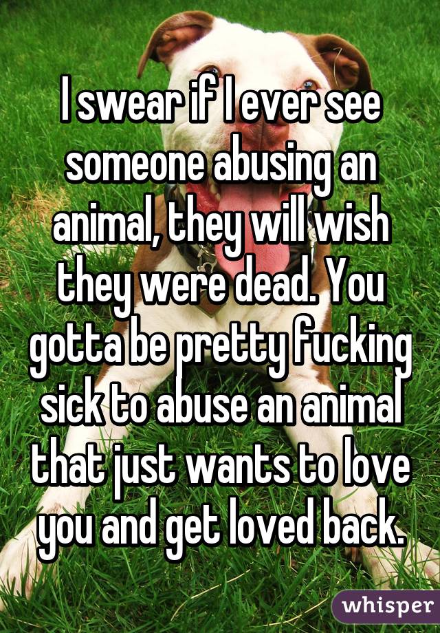 I swear if I ever see someone abusing an animal, they will wish they were dead. You gotta be pretty fucking sick to abuse an animal that just wants to love you and get loved back.