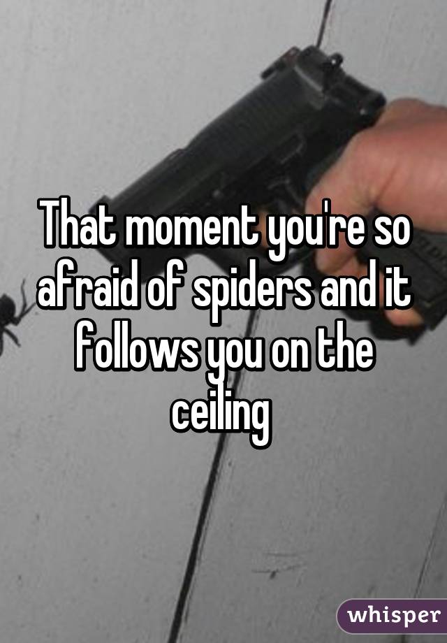 That moment you're so afraid of spiders and it follows you on the ceiling 