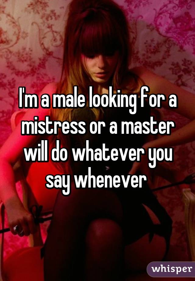 I'm a male looking for a mistress or a master will do whatever you say whenever 