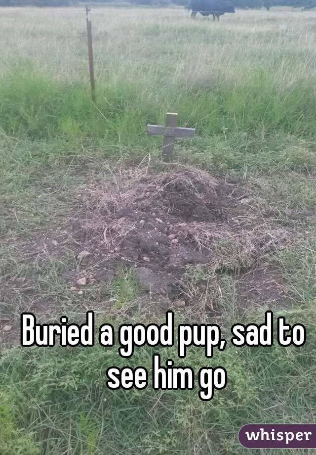 Buried a good pup, sad to see him go