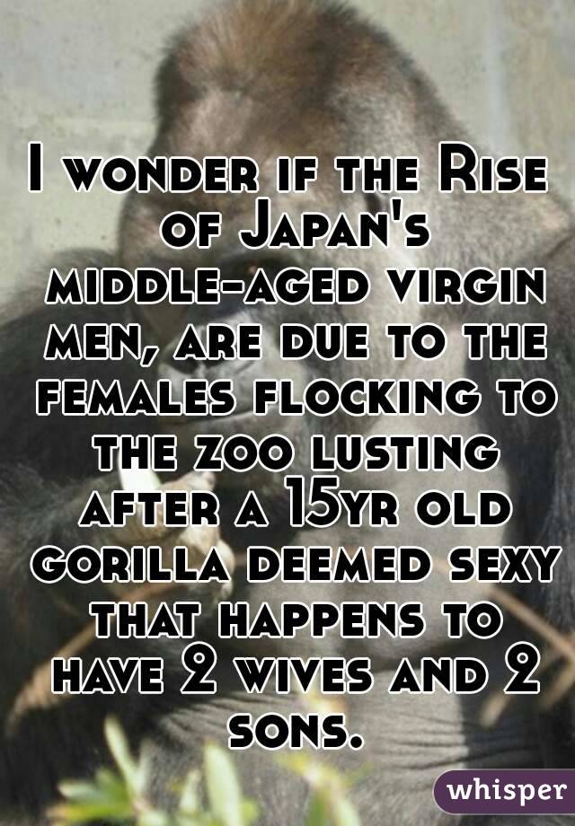 

I wonder if the Rise of Japan's middle-aged virgin men, are due to the females flocking to the zoo lusting after a 15yr old gorilla deemed sexy that happens to have 2 wives and 2 sons.
