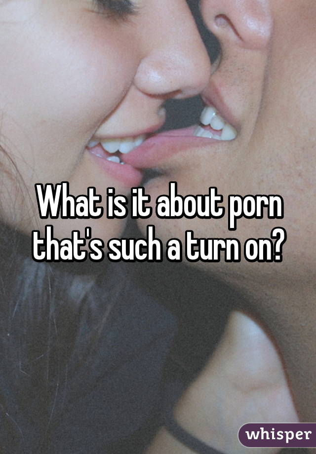 What is it about porn that's such a turn on?
