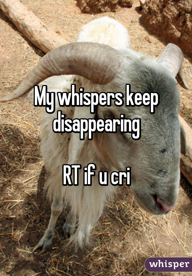 My whispers keep disappearing

RT if u cri