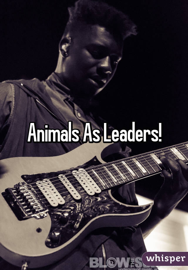 Animals As Leaders!