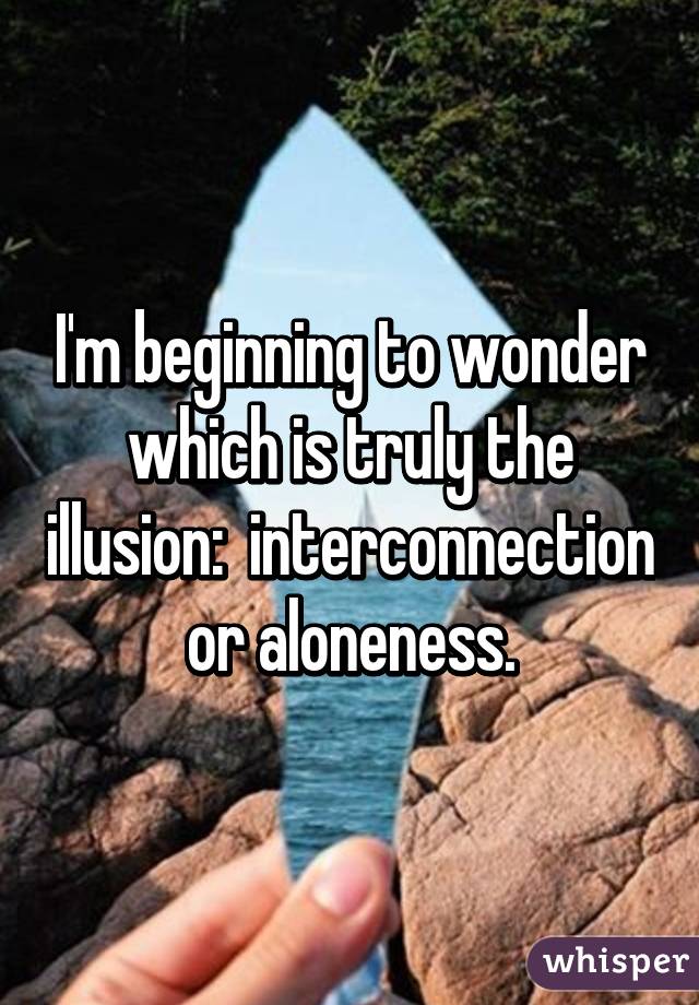 I'm beginning to wonder which is truly the illusion:  interconnection or aloneness.