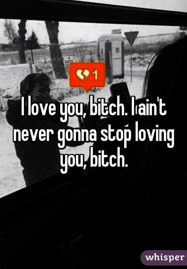 I love you, bitch. I ain't never gonna stop loving you, bitch.