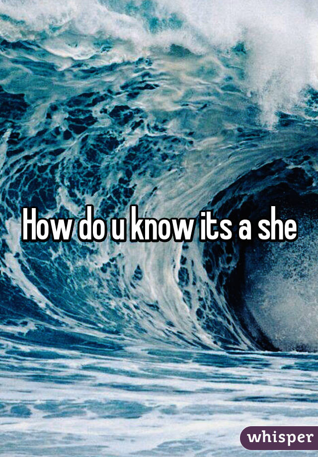 How do u know its a she