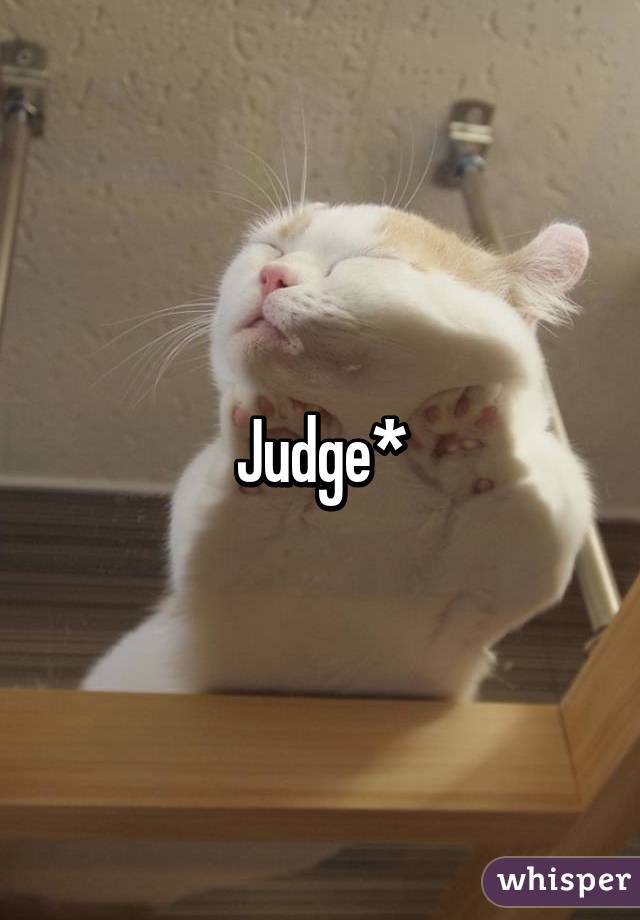 Judge*