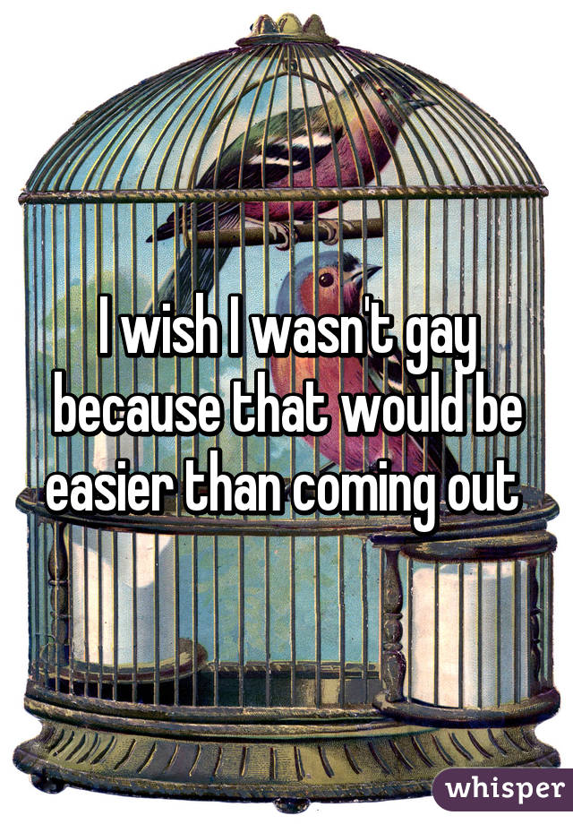 I wish I wasn't gay because that would be easier than coming out 