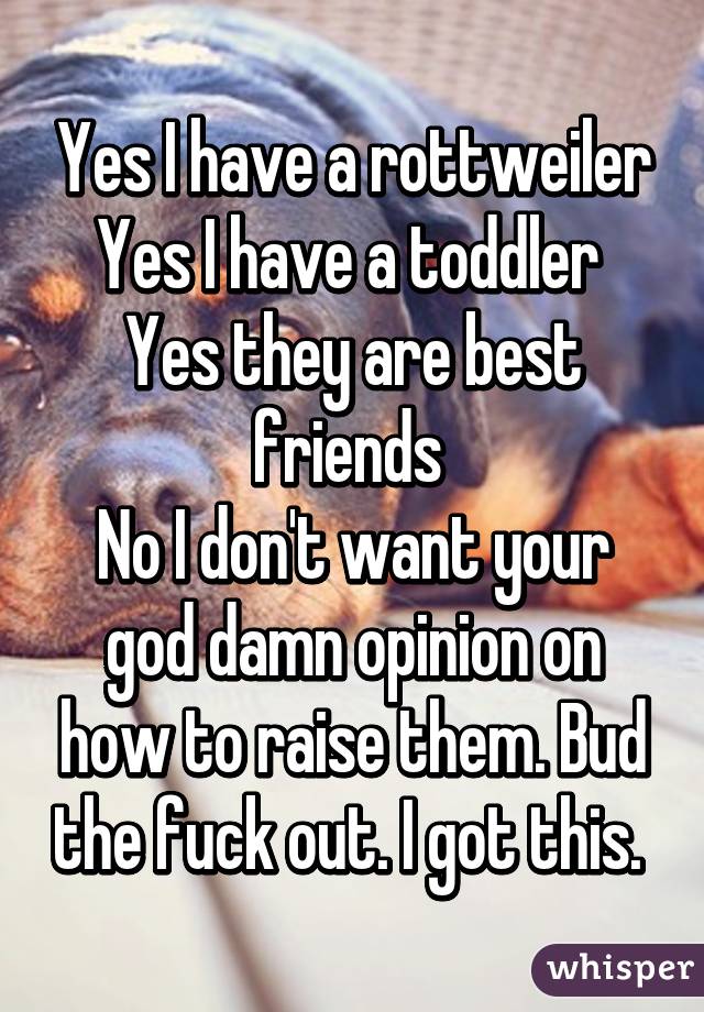Yes I have a rottweiler
Yes I have a toddler 
Yes they are best friends 
No I don't want your god damn opinion on how to raise them. Bud the fuck out. I got this. 