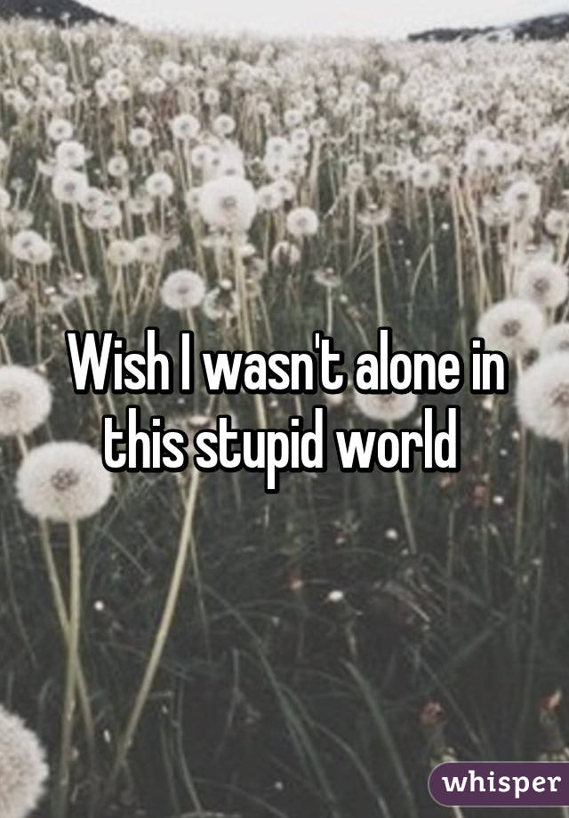 Wish I wasn't alone in this stupid world 
