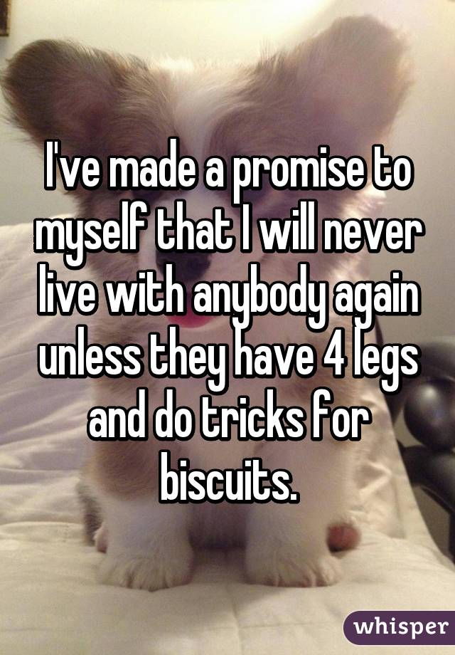 I've made a promise to myself that I will never live with anybody again unless they have 4 legs and do tricks for biscuits.