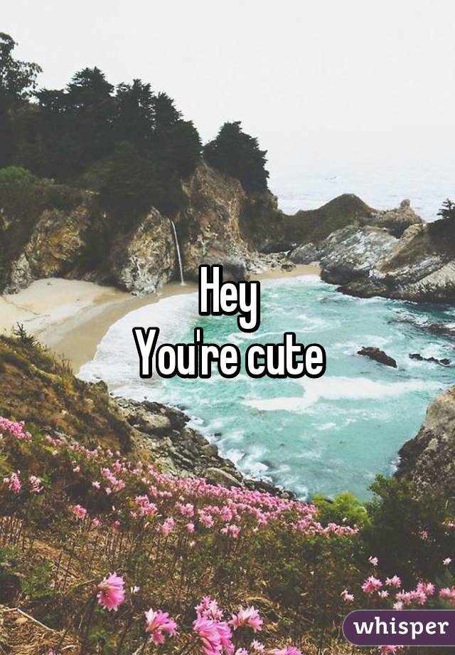 Hey
You're cute