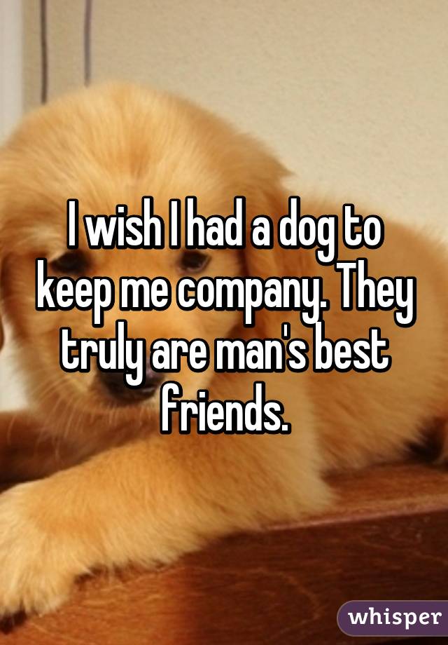 I wish I had a dog to keep me company. They truly are man's best friends.