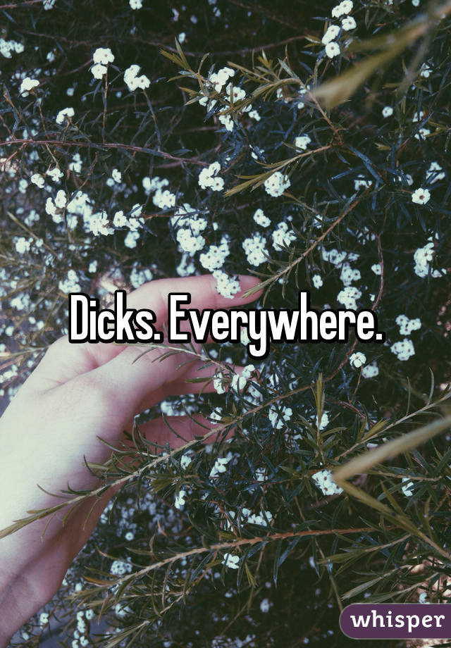 Dicks. Everywhere.