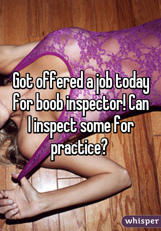 Got offered a job today for boob inspector! Can I inspect some for practice? 