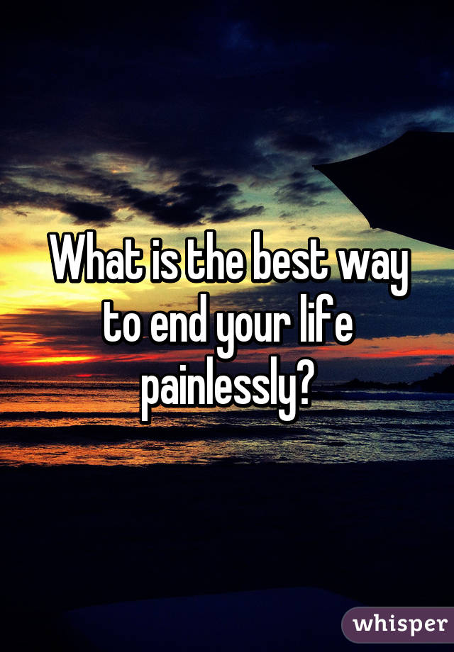 What is the best way to end your life painlessly?