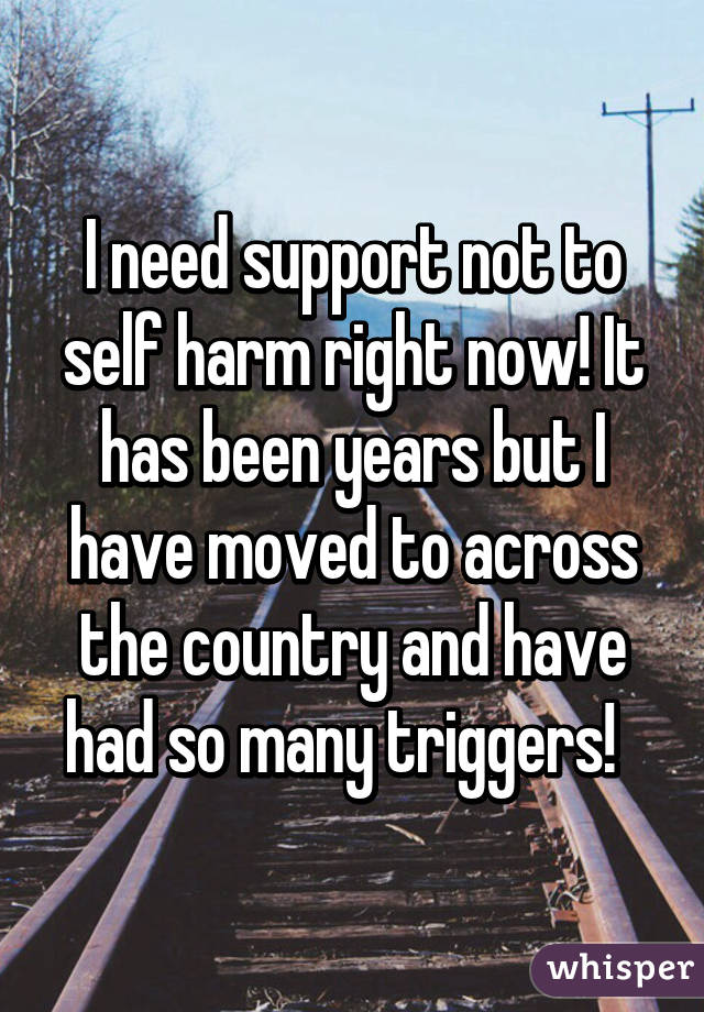 I need support not to self harm right now! It has been years but I have moved to across the country and have had so many triggers!  