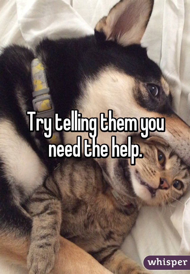Try telling them you need the help.