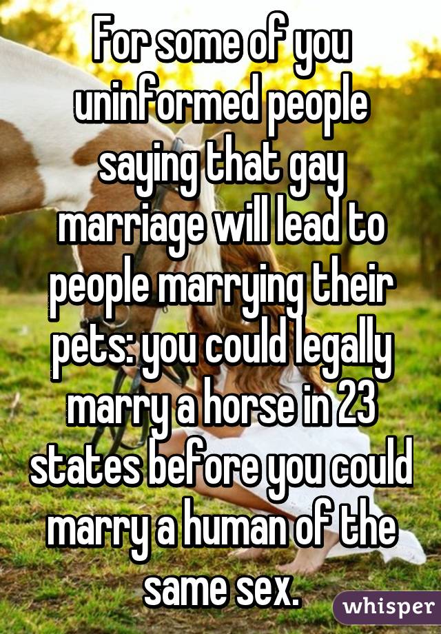 For some of you uninformed people saying that gay marriage will lead to people marrying their pets: you could legally marry a horse in 23 states before you could marry a human of the same sex.