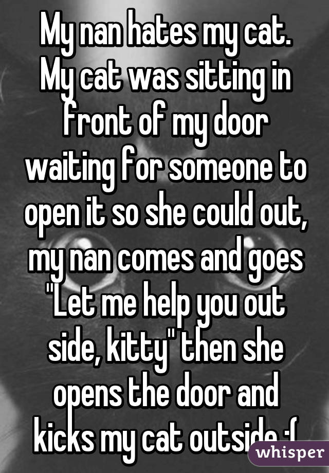 My nan hates my cat. My cat was sitting in front of my door waiting for someone to open it so she could out, my nan comes and goes "Let me help you out side, kitty" then she opens the door and kicks my cat outside :(